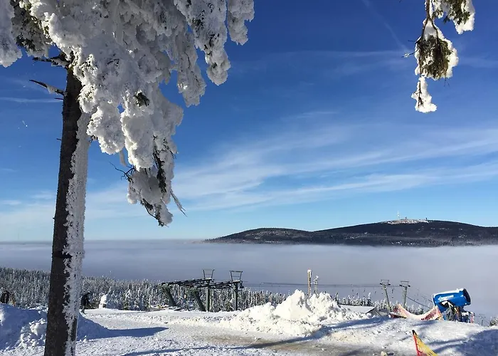 Ferienkomfortwohnung Walter Daire Braunlage